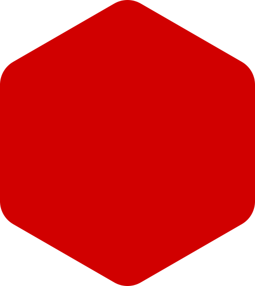 https://gundogdultd.com.tr/wp-content/uploads/2021/03/hexagon-red-huge.png